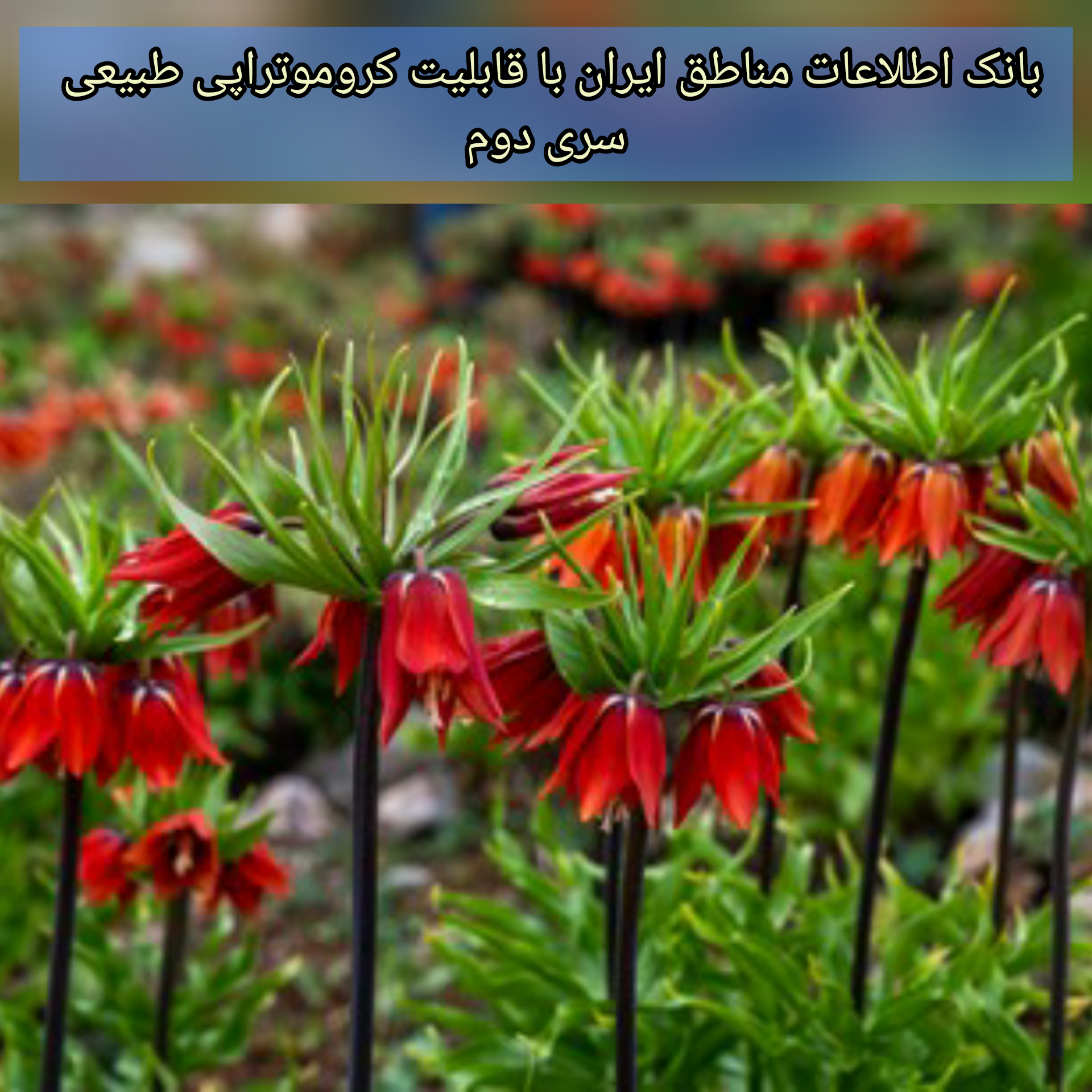 بانک اطلاعات مناطق ایران با قابلیت کروموتراپی طبیعی (2)