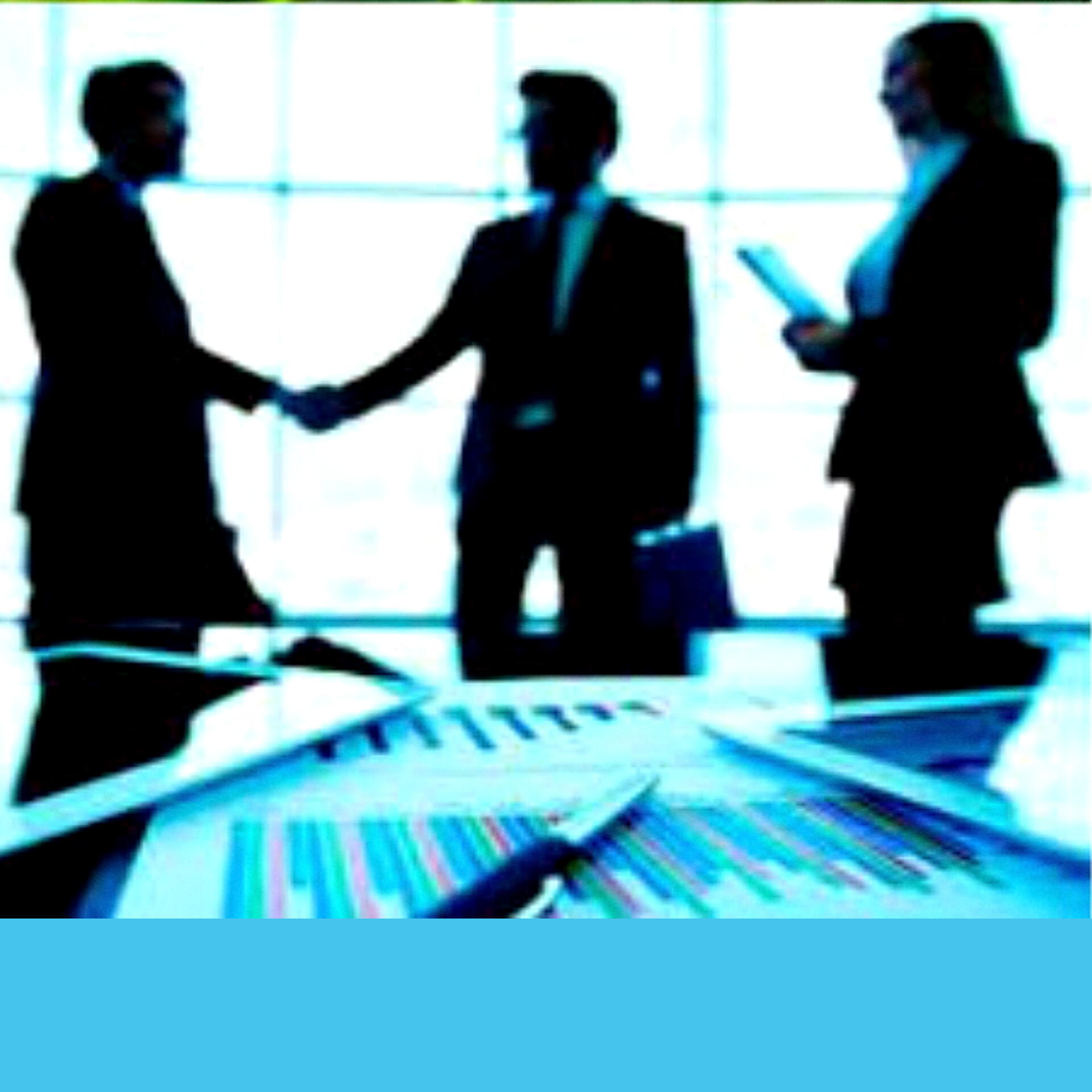 مرگز مطالعات تخصصی گردشگری سلات تریتا- شرکت های تسهیلگر