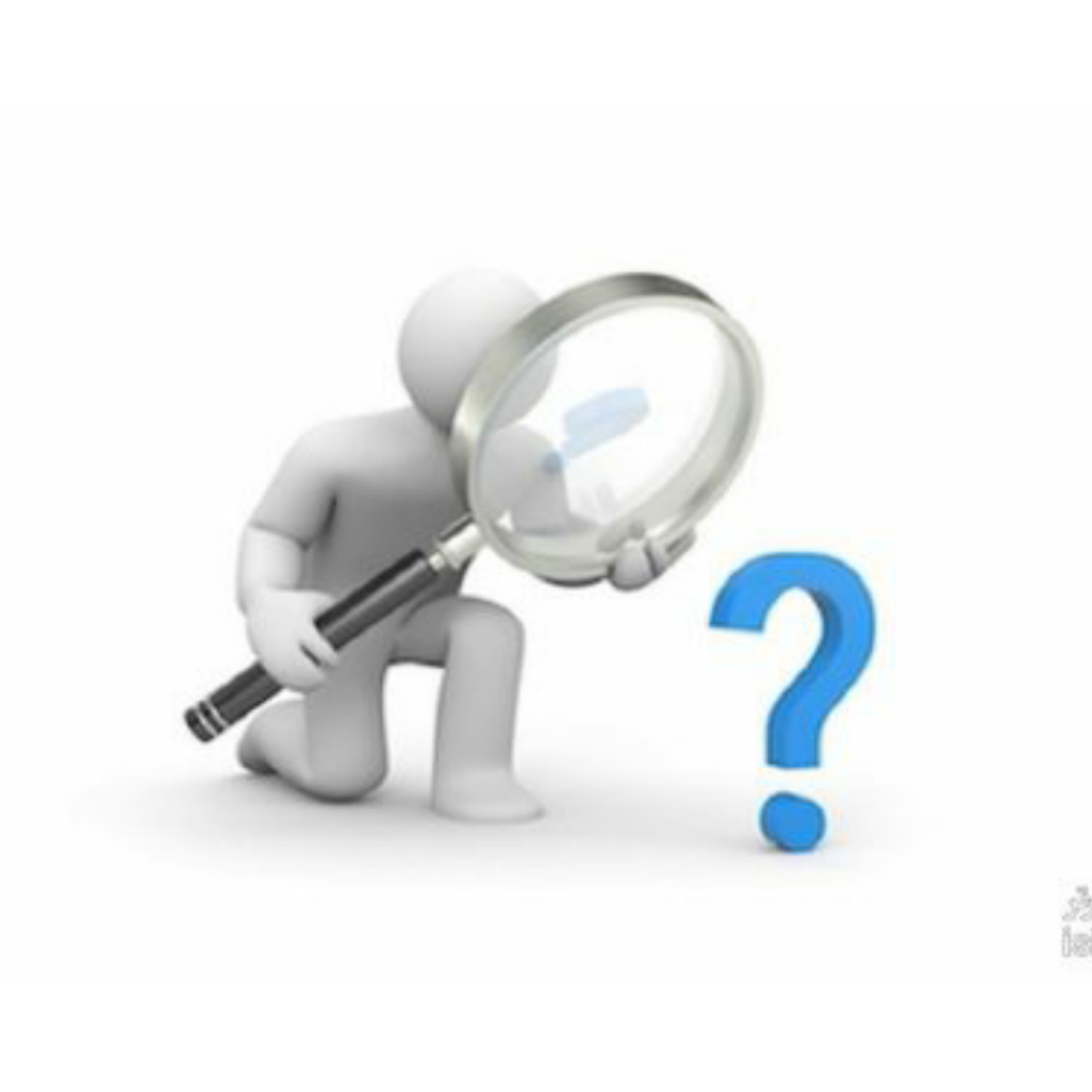 Wellness Research Services