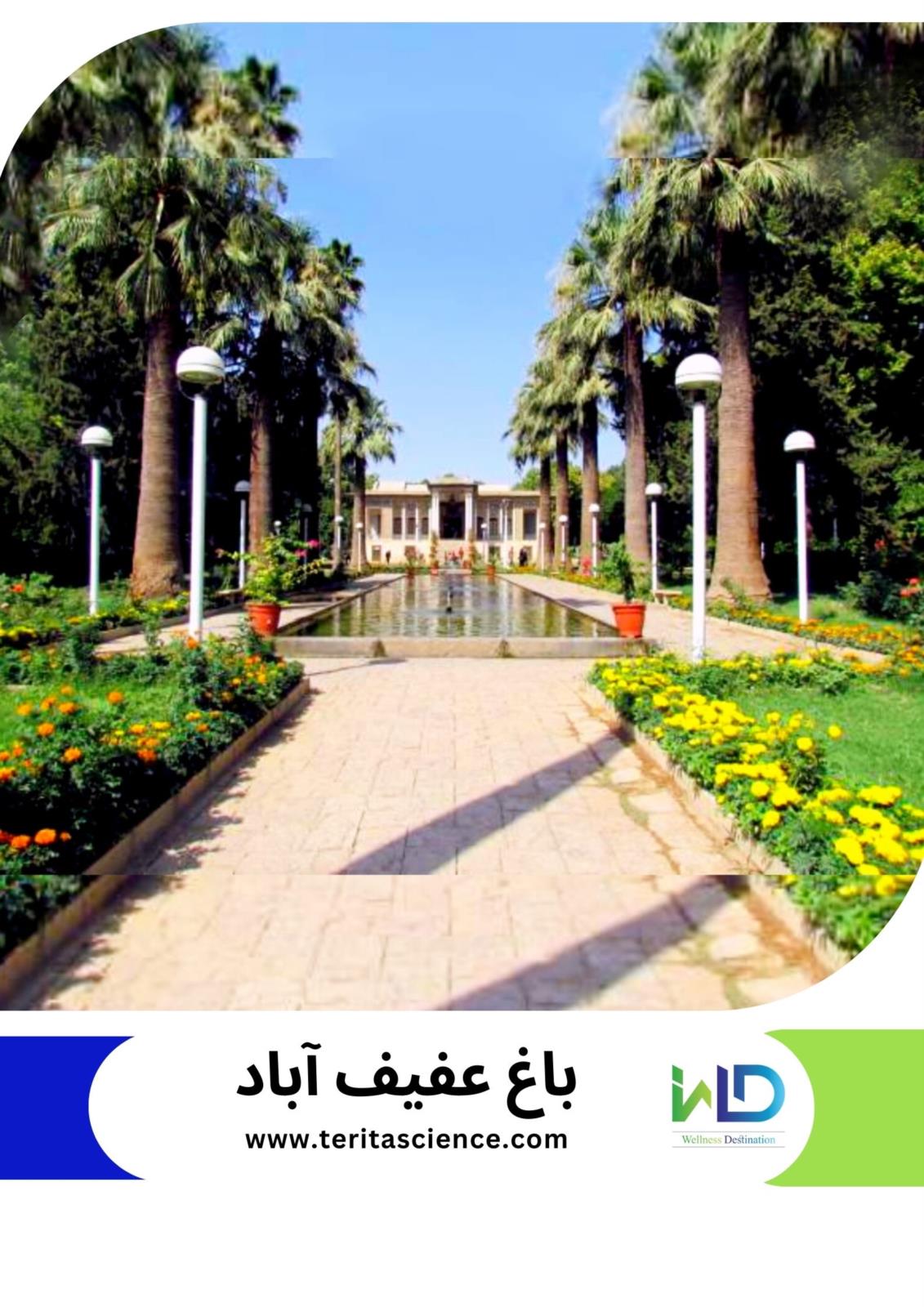 باغ عفیف آباد